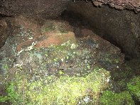 otte Scorciavacca20110306 114